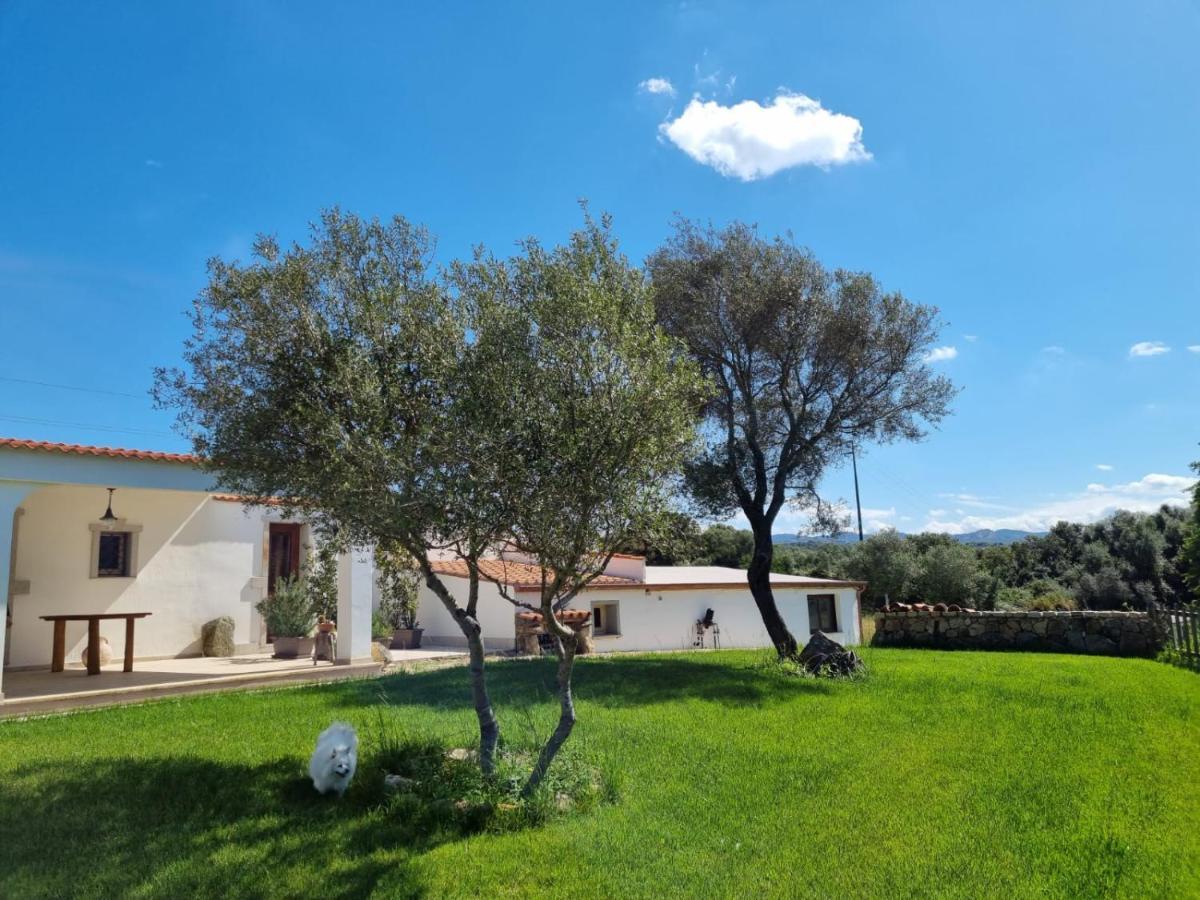 Lu Antu Alloggi Agrituristici Arzachena Buitenkant foto