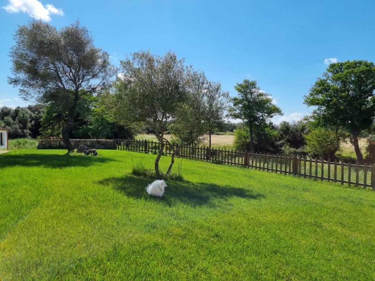 Lu Antu Alloggi Agrituristici Arzachena Buitenkant foto