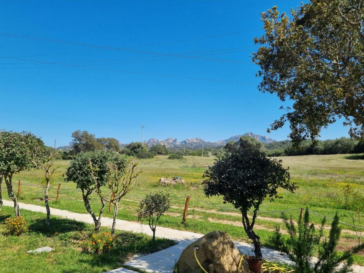 Lu Antu Alloggi Agrituristici Arzachena Buitenkant foto